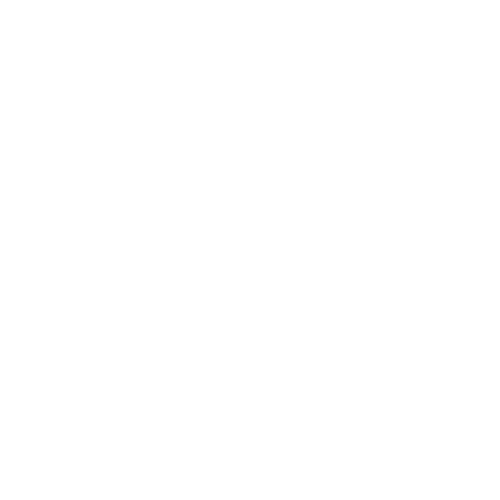 Our Vision Globe